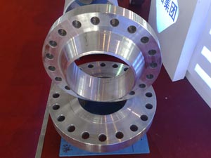 Flange5